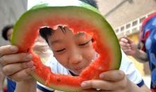 邯郸县吃瓜,品味夏日清凉