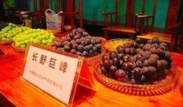 奢饰品店吃瓜,揭秘名流圈层里的八卦风云