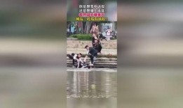 吃瓜视频的起源,从吃瓜视频起源看网络文化的崛起与演变