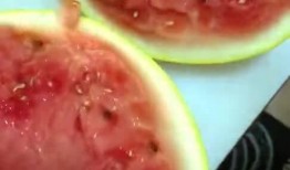 大晚上吃啥瓜,大晚上吃啥瓜的美食攻略