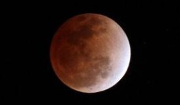 大瓜头吃月亮,一场与月亮的梦幻邂逅