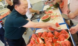 市职校吃瓜,揭秘校园里的“瓜田”风云