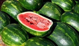 岑岑吃瓜合集,揭秘娱乐圈那些不为人知的幕后故事