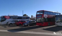 郑州比亚迪工厂吃瓜,揭秘背后的真相与反思