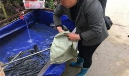 群众吃瓜记完整