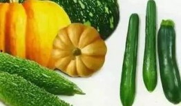 吃瓜课代表秋名山,揭秘吃瓜课代表的瓜界传奇