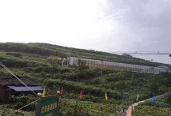 古镇吃瓜群众事件,一场引发热议的街头冲突