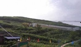 古镇吃瓜群众事件,一场引发热议的街头冲突