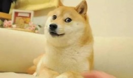 吃瓜表情咋改,吃瓜表情背后的网络文化现象解析