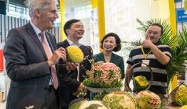 热情的吃瓜,揭秘娱乐圈幕后风云