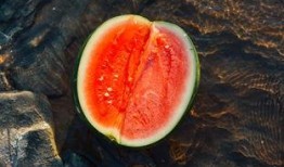 子午吃瓜,揭秘娱乐圈的甜蜜与苦涩