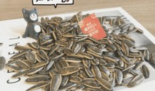 吃瓜群众吃的瓜子皮,揭秘吃瓜群众瓜子皮背后的故事