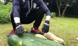 最新爆料吃瓜,神秘事件真相大揭秘！