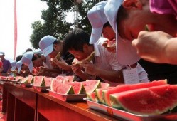 活动策划吃瓜,一场别开生面的“吃瓜”盛宴