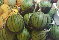 大厂吃瓜,一场吃瓜群众的狂欢盛宴