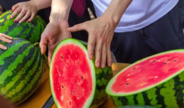 学院教授吃瓜,揭秘学院里的趣味瞬间