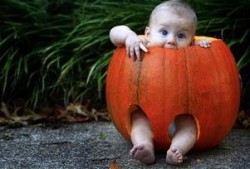 吃瓜吃到蛆,揭秘吃瓜吃到蛆的惊悚经历