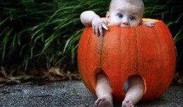 吃瓜吃到蛆,揭秘吃瓜吃到蛆的惊悚经历