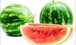 胃炎能否吃瓠瓜,胃炎患者适宜食用瓠瓜的饮食指南