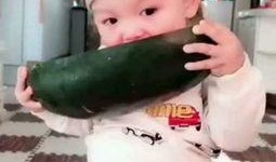 吃瓜视频小朋友