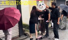 打伞吃瓜,打伞吃瓜，享受清凉时光