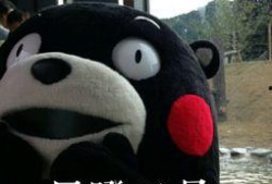 吃瓜群众你这瓜保熟吗,这瓜保熟，揭秘真相！