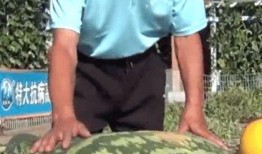 老沈吃瓜,揭秘娱乐圈那些不为人知的幕后故事