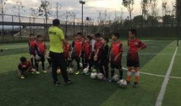 精英训练营 吃瓜,揭秘吃瓜背后的秘密与技巧