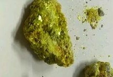 孟菜狗吃瓜,一场关于美食与友谊的盛宴