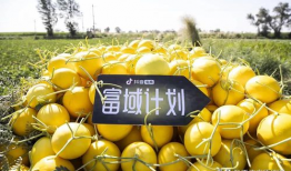 吃瓜抖音奶汁,揭秘“吃瓜抖音奶汁”背后的美食魅力