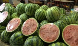 推文自由吃瓜,畅享网络时代的信息盛宴