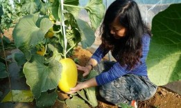 带你吃瓜背诗,感受古典诗词的魅力