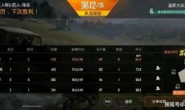 sss和平精英吃瓜,揭秘SSS战队背后的吃瓜故事