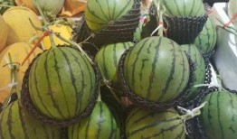 吃瓜的小苏,揭秘娱乐圈幕后故事