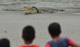 吃瓜霸王作品,揭秘娱乐圈背后的秘密与真相