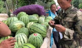 金昌天庆吃瓜,一场吃瓜盛宴背后的故事