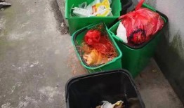 龙湾吃瓜,一场别开生面的吃瓜盛宴