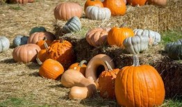 吃瓜群众摆件diy,吃瓜群众摆件DIY，打造个性家居新风尚