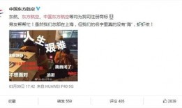 吃瓜东航事件,吃瓜群众视角下的航空安全疑云