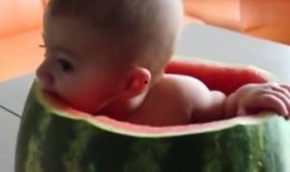 吃瓜视频小朋友