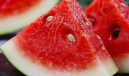 全网吃瓜链接,揭秘吃瓜链接背后的热点事件