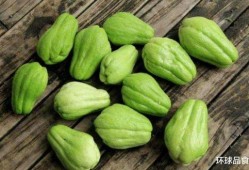 吃肉吃瓜的图片,探寻美食背后的故事