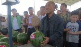 盘龙区吃瓜群众,揭秘社区生活百态