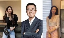 ceo夫人吃瓜,揭开豪门背后的惊人秘密