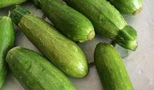 小角瓜孕妇可以吃,小角瓜助力孕妇健康饮食