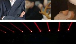 ceo夫人吃瓜,揭开豪门背后的惊人秘密