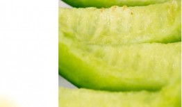 溧阳骑车吃瓜,一场悠闲的夏日骑行之旅