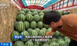 徐水吃啥瓜,探寻当地特色美食之旅