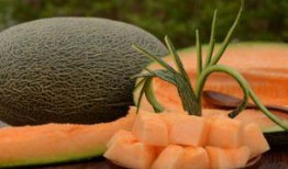 国外人吃哈密瓜吗,国外人士的食用体验与评价