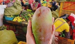 吃瓜贵妃图片欣赏,揭秘吃瓜贵妃的绝美瞬间